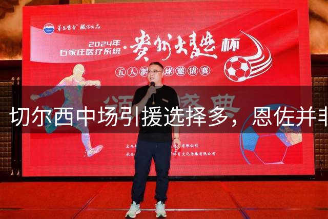 切尔西中场引援选择多，恩佐并非无可取代